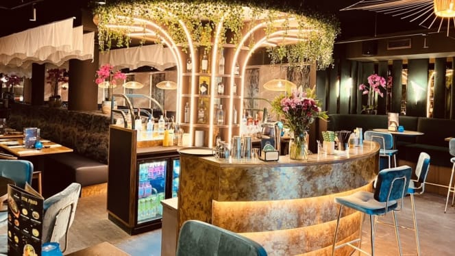 Blue Dragon - Amsterdam - 0