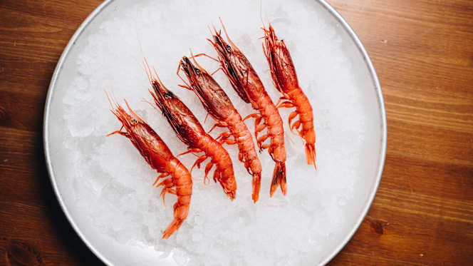 Nautilus - Milano - 2