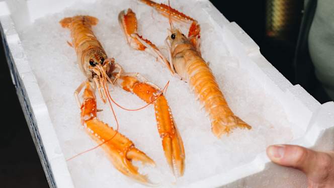 Nautilus - Milano - 3