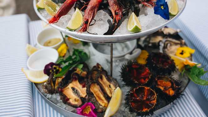 Nautilus - Milano - 1