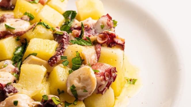 Il Cavalluccio Marino - 0