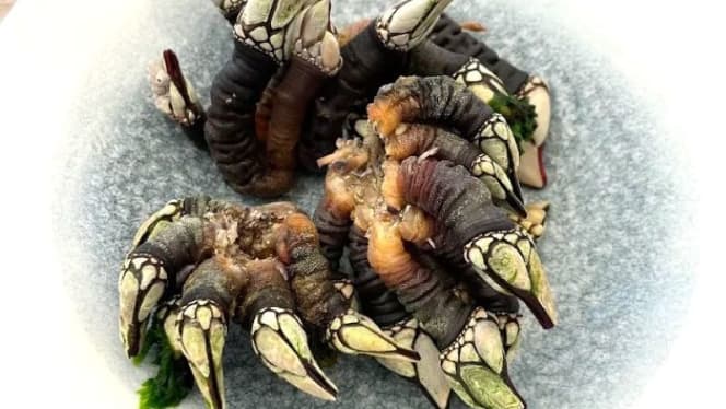 Restaurante 2 Irmãos - Lagos - 4