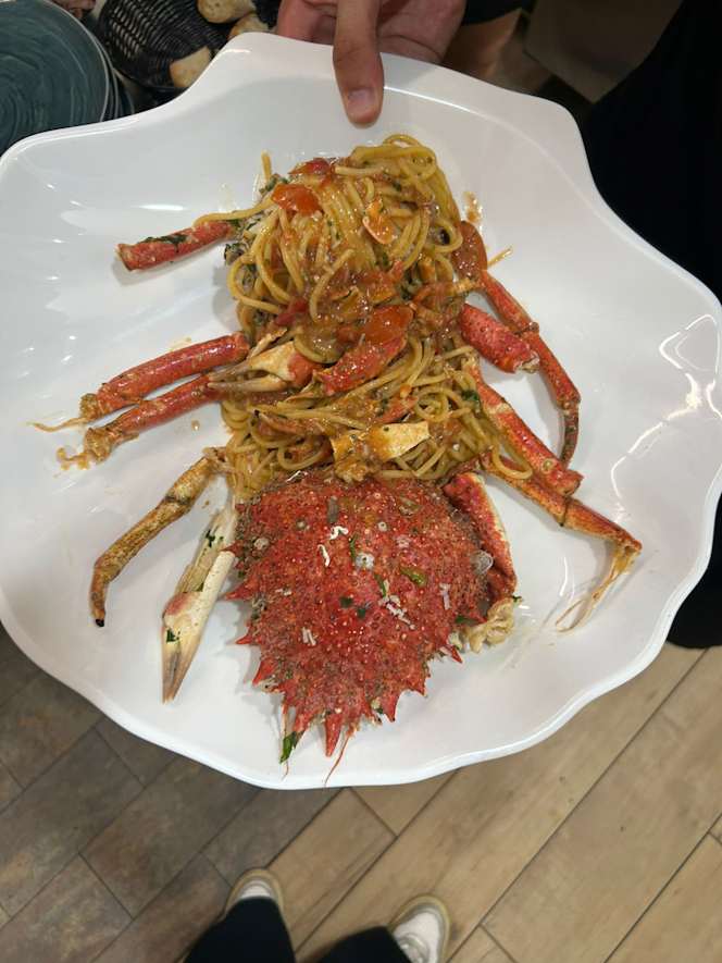 Il Coccio - 8