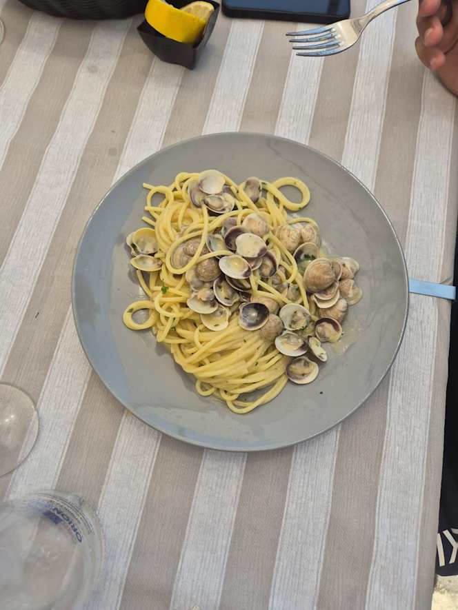 Il Coccio - 5