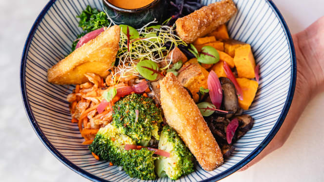 Judy, Cantine Qualitarienne - Rousseau - 5