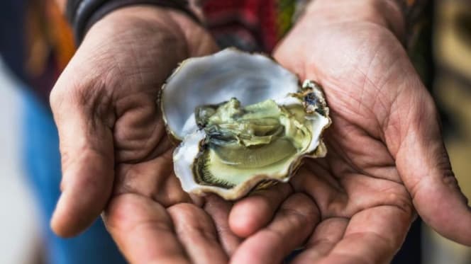 Mercado Food and Drinks - 9