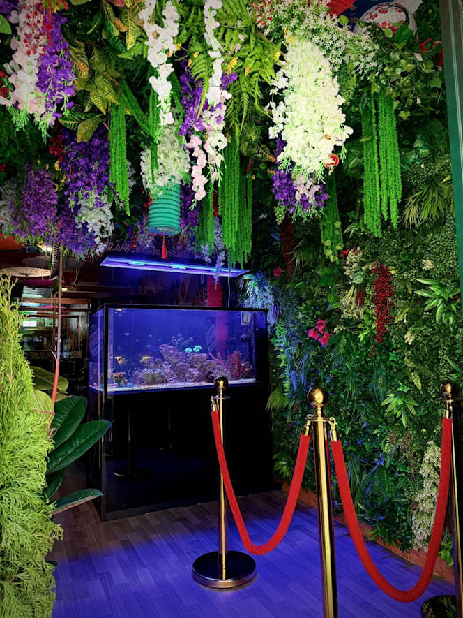 Sifra  Sushi & Grill - Ajuda - 4