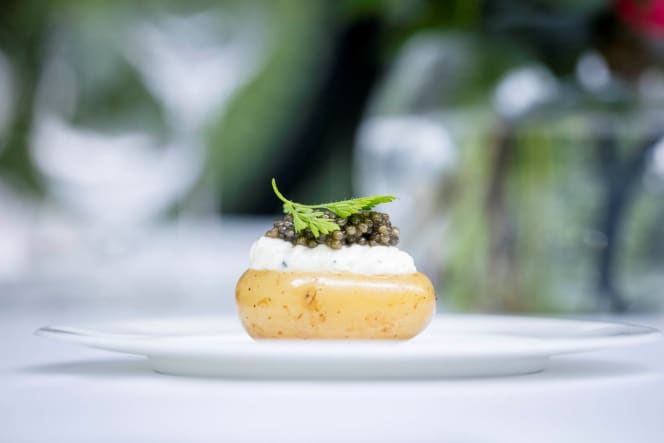 Orrery by Pierre Minotti - 3