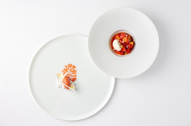 Orrery by Pierre Minotti - 4