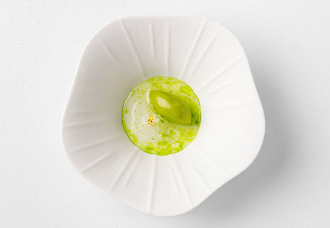 Orrery by Pierre Minotti - 6