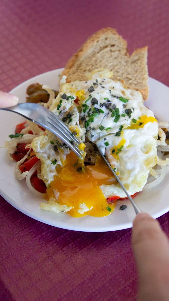 Camposol - Maqueda - 6