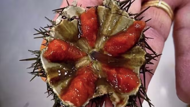 Siculì Bistrò & Bottega - 9