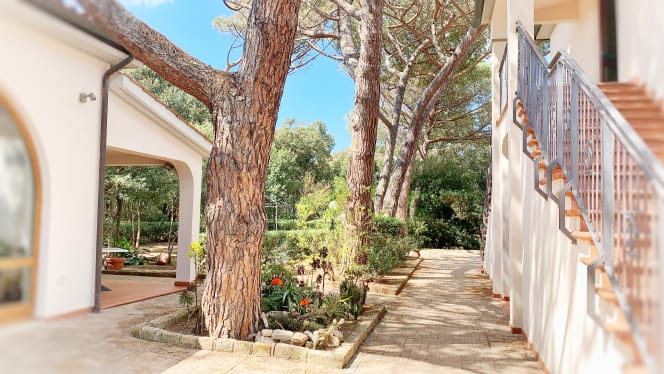 Ristorante Il Boschetto - 6