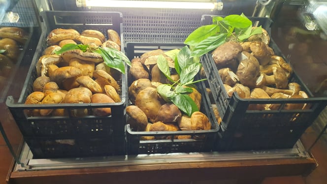 La Vecchia Mola - Cesano - 3