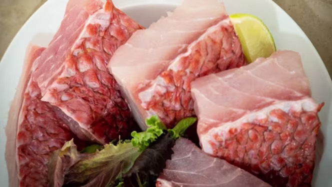 Peixe do Mercado - 4