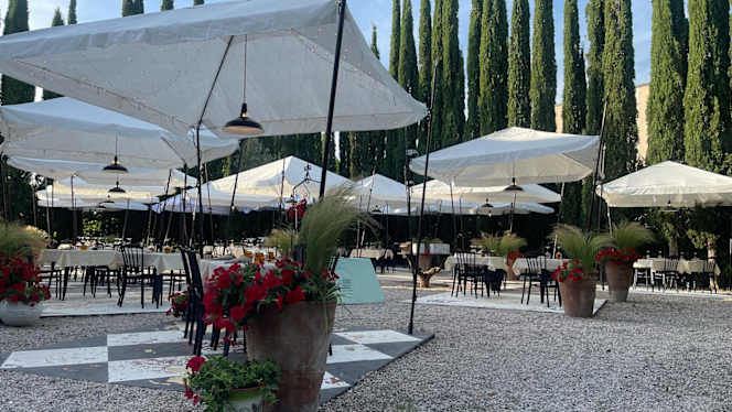 Tano - Grano & Brace - 4