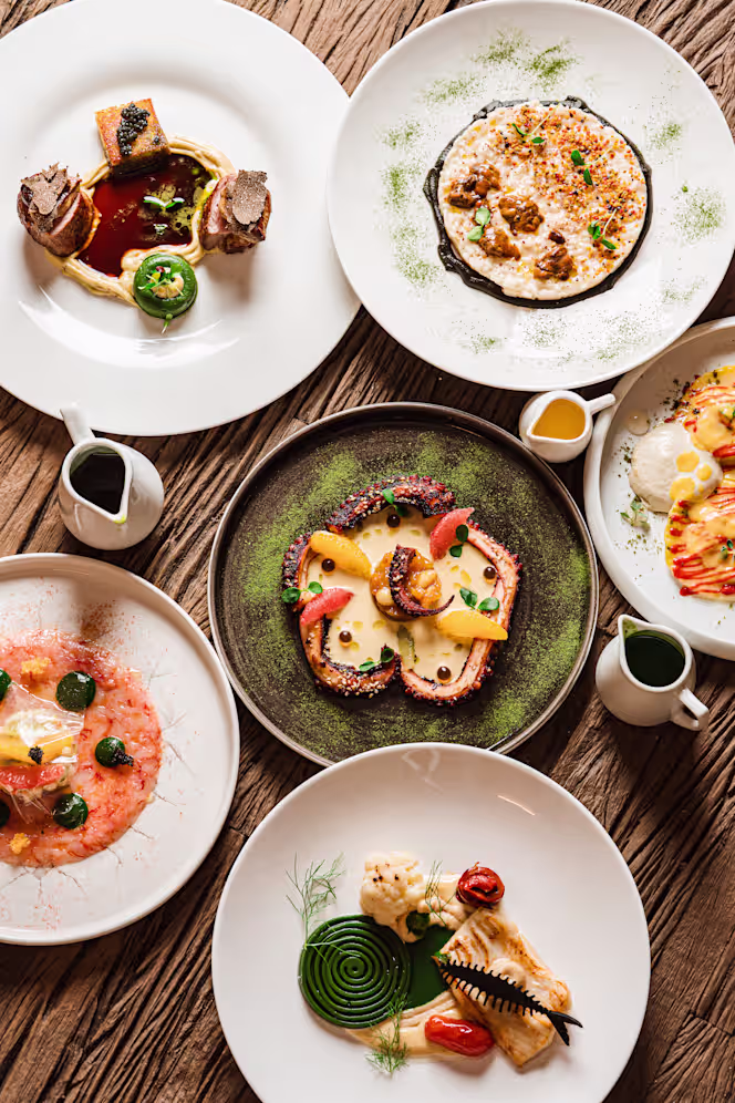 Le Palme - La villa del Re - 3