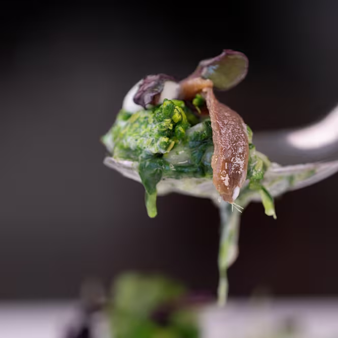 Congusto Cucina Contemporanea - 2