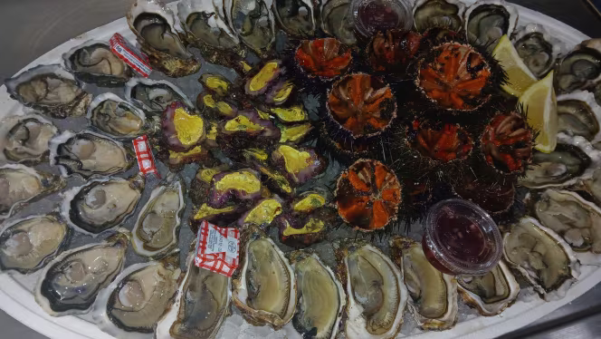 Le Trident - Coquillages - 1