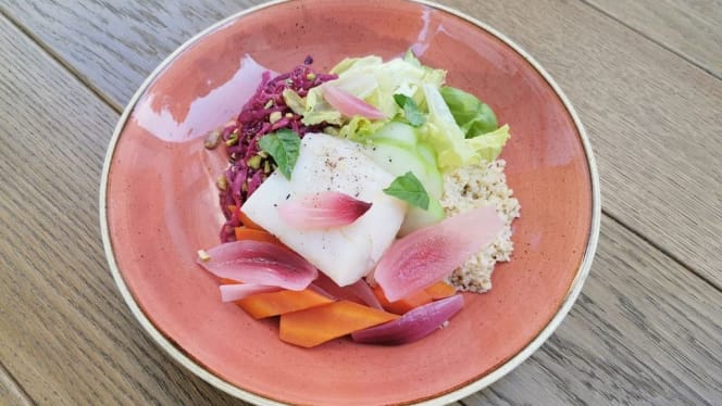 Mandragora - Pozioni e Porzioni - 5