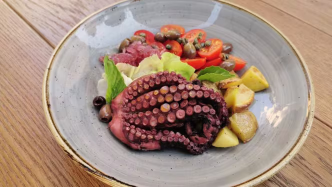 Mandragora - Pozioni e Porzioni - 4