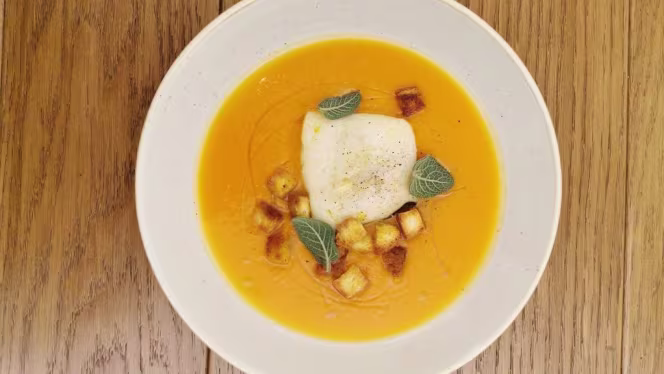 Mandragora - Pozioni e Porzioni - 3