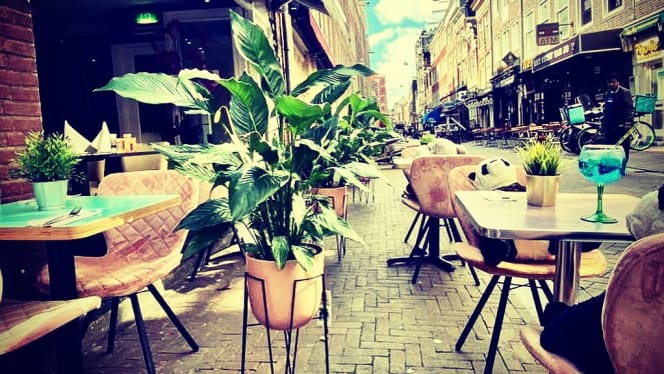 The Vegan Indian - 6