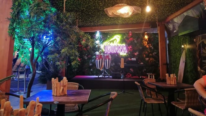 Iguana Roma - 2