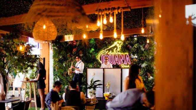 Iguana Roma - 5