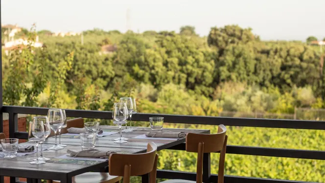 Le Rose Cantina e Cucina - 0