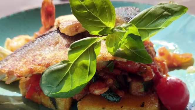 Don Camillo Andritz - 7