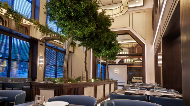 Claridge - Hotel Claridge   - 8