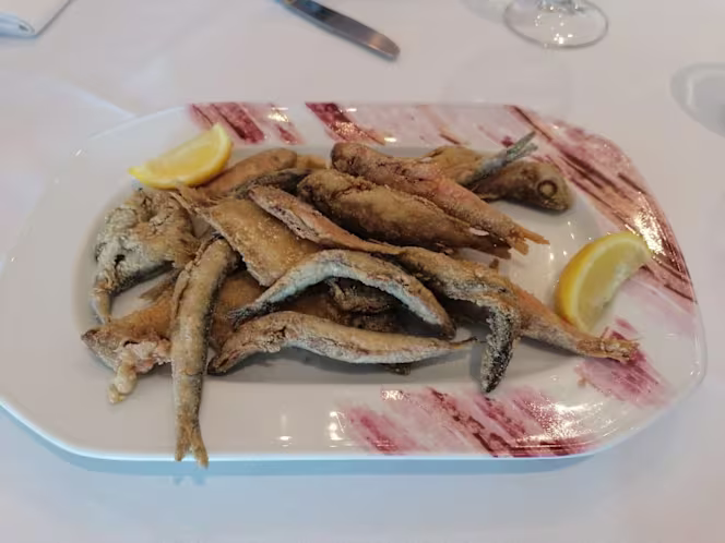 L'arrel del port - 4