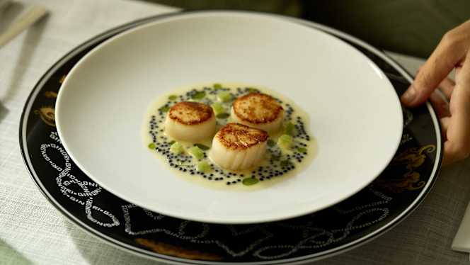 “Violino D’Oro - Il Piccolo” - 8