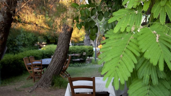 Agriturismo Terra di Pace - Café de la Paix - Noto - 0