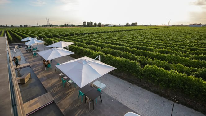 Cantina Ventiventi - 8