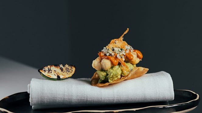 Starfish - Royal Hideaway Corales Resort - 6