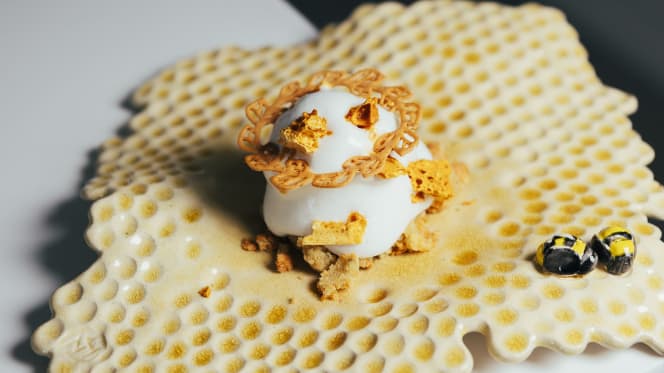 Starfish - Royal Hideaway Corales Resort - 8