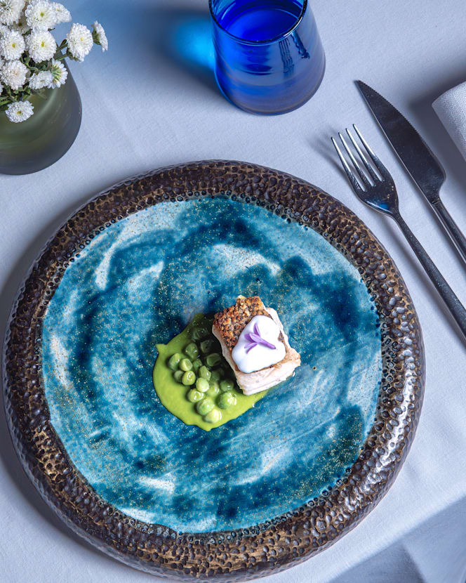 Starfish - Royal Hideaway Corales Resort - 0