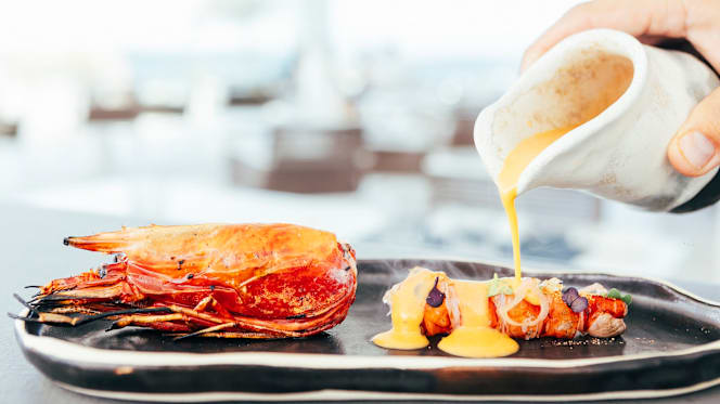 Starfish - Royal Hideaway Corales Resort - 7