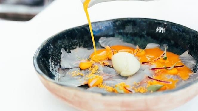 Starfish - Royal Hideaway Corales Resort - 5