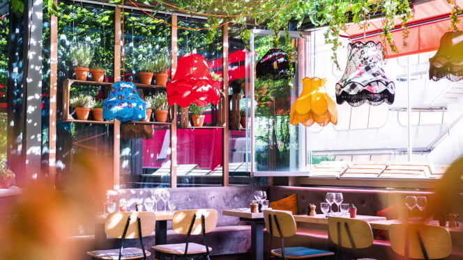 Le Bistrot des Chefs - 7