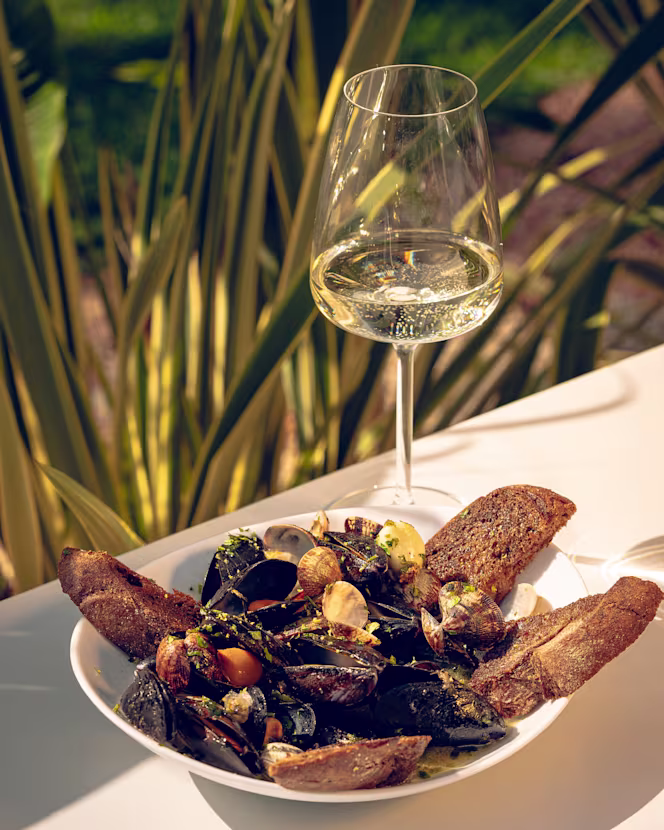 Zanzibar - Crema - 6