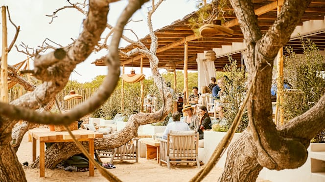 The Garden at Teranka Formentera - 6