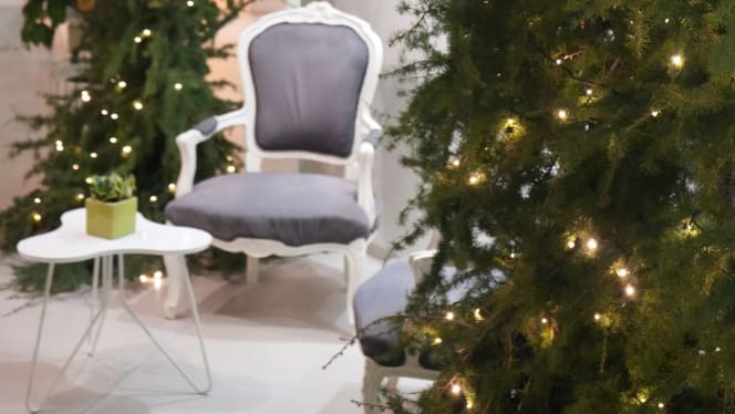 Giardino d'Inverno - 1