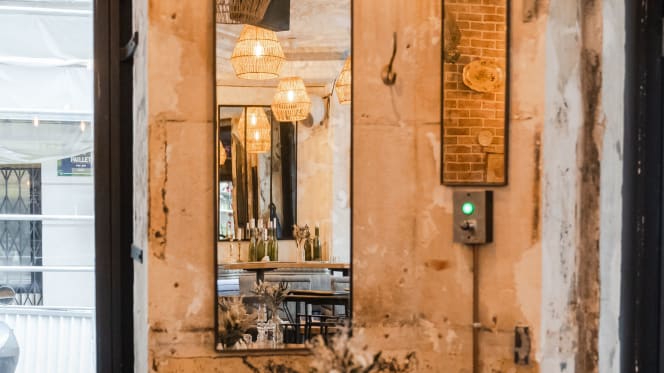 Papilla Soufflot - 9