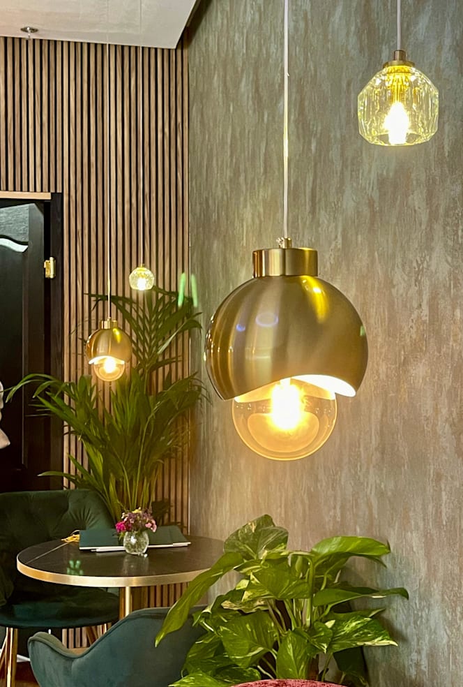 Terra Argenta Bistro - 5