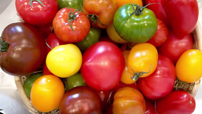 Angelini Göteborg - 2