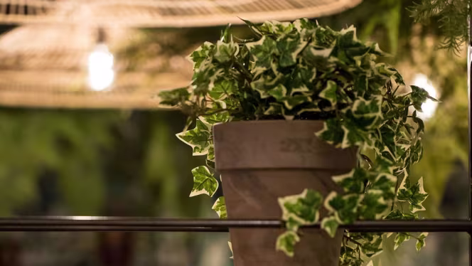 Maison Savoure - Limonest - 4