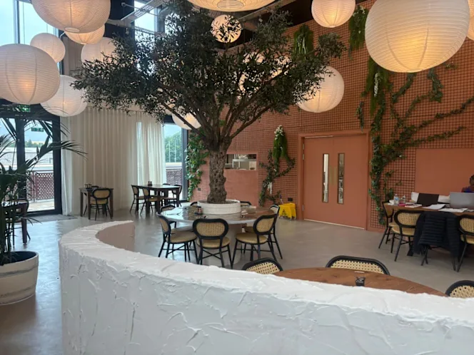 Sygnature Dish Ltd - 0